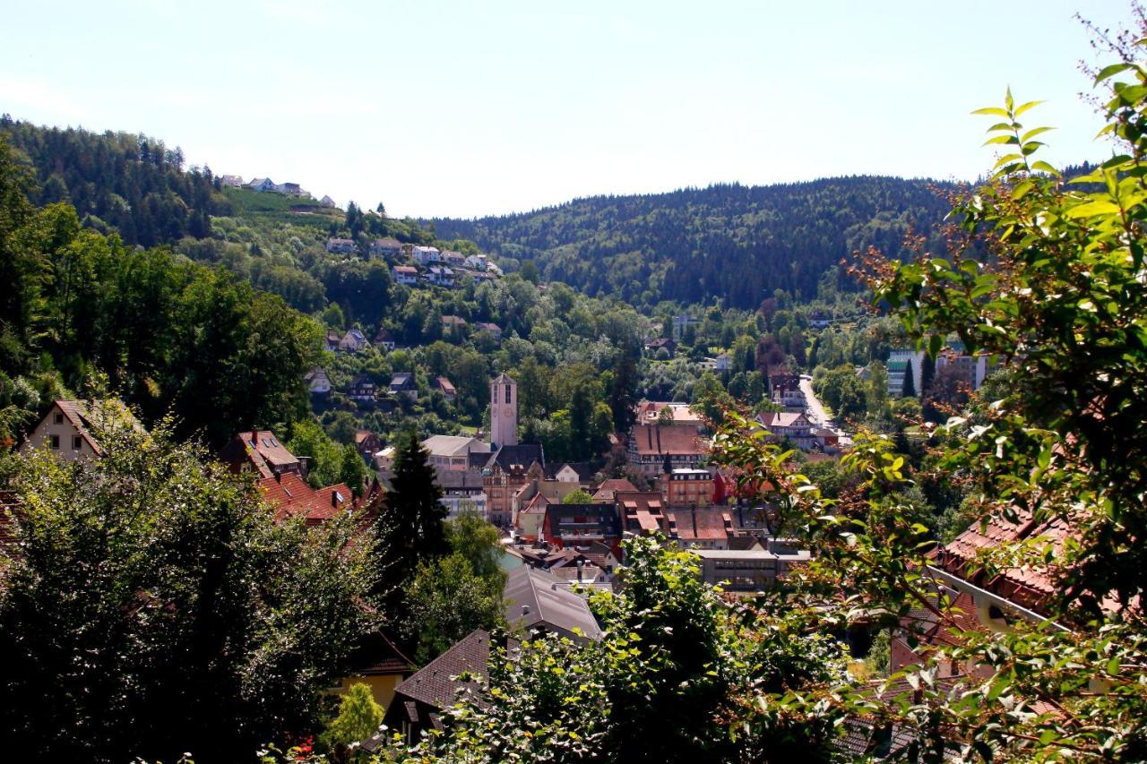 Hotel Cafe Adler 24H Self Check In Triberg im Schwarzwald Luaran gambar
